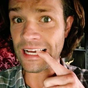 Meet your Posher, Bailey